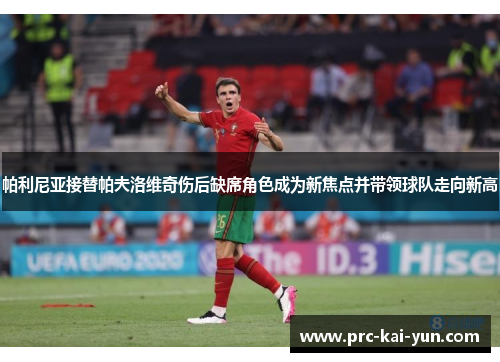 帕利尼亚接替帕夫洛维奇伤后缺席角色成为新焦点并带领球队走向新高